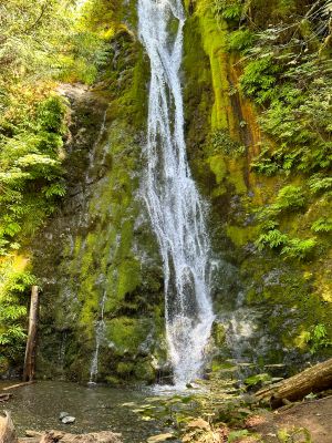 Madison Falls near the Elwha River
